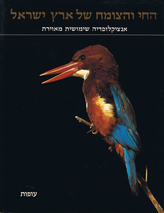 החי והצומח של ארץ ישראל עופות